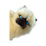 Bocchetta Plush Toys Bocchetta Plush Toys - Toffee - Himalayan Cat - 34cm sitting