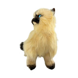 Bocchetta Plush Toys Bocchetta Plush Toys - Toffee - Himalayan Cat - 34cm sitting