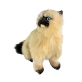Bocchetta Plush Toys Bocchetta Plush Toys - Toffee - Himalayan Cat - 34cm sitting