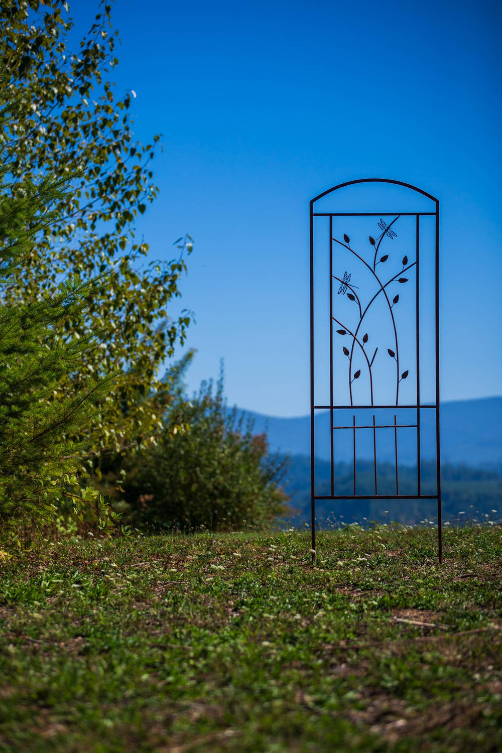 Elegant Garden Design Elegant Garden Design - Dragonfly Trellis