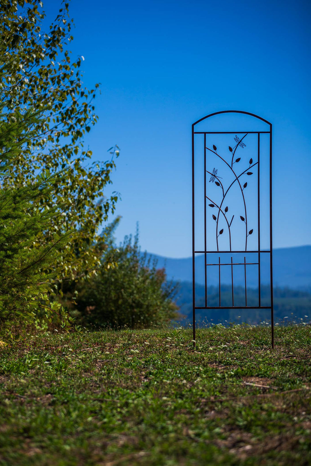 Elegant Garden Design Elegant Garden Design - Dragonfly Trellis