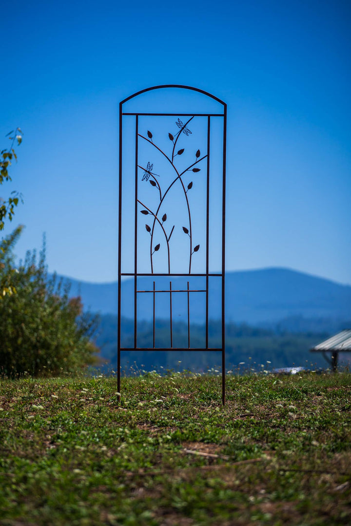 Elegant Garden Design Elegant Garden Design - Dragonfly Trellis