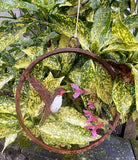 Elegant Garden Design Elegant Garden Design - Hummingbird on Salvia Mini Ring Painted