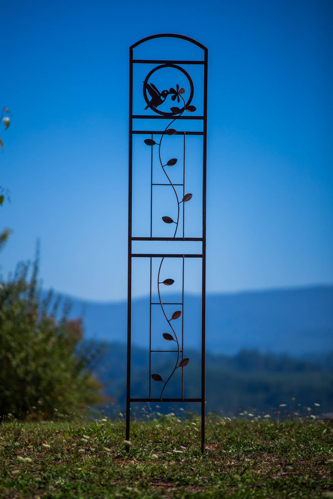 Elegant Garden Design Elegant Garden Design - Hummingbird Trellis