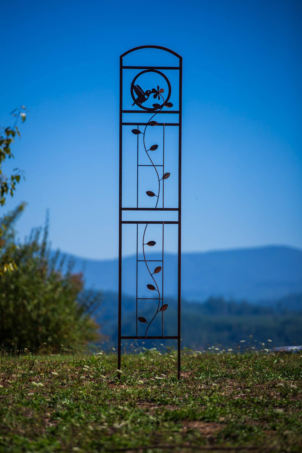 Elegant Garden Design Elegant Garden Design - Hummingbird Trellis