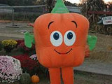 Evergreen Creations Book and accessories Spookley The Square Pumpkin Plushie and The Legend Of Spookley Book