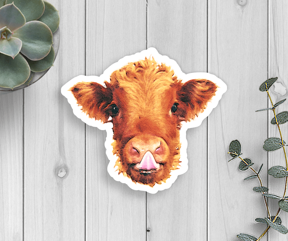 Expression Design Co Expression Design Co - Highland Calf Vinyl Sticker