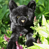 faire-auswella stuffed cat Floppy Realistic Black Cat-Lifesize!  Meet Binx...