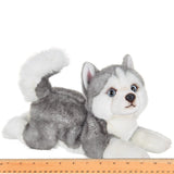 Faire-Bearington Collection Plush Husky Plush Husky Puppy Dog Floppy Life-like Toy