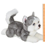 Faire-Bearington Collection Plush Husky Plush Husky Puppy Dog Floppy Life-like Toy