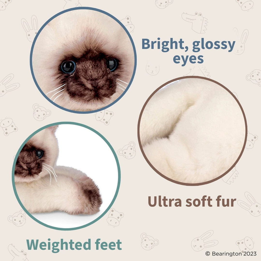 FAIRE - Bearington Plush Animals Plush Small Siamese Cat Floppy Lifelike and Loveable!