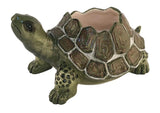 Turtle Planter