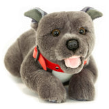 Blue Lying Staffordshire Bull Terrier Plush Floppy