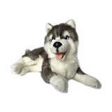 Faire: Bocchetta Plush Toys Plush Animals Plush Realistic Husky Size 44cm/17″