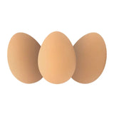 Bouncy Realistic Rubber Brown Eggs Perfect for Easter or Year Round Fun!