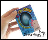 faire - curious minds toys Activity Toys Hatch and Grow Axolotl