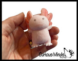 faire - curious minds toys Activity Toys Hatch and Grow Axolotl