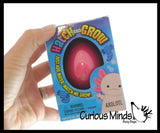 faire - curious minds toys Activity Toys Hatch and Grow Axolotl