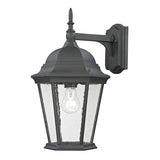 Temple Hill 1-Lght Coach Lantern Medium