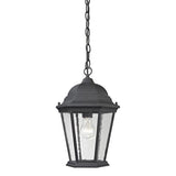 Faire-Elk Home Temple Hill 1-Lght Hanging Lght Matte Textured Black