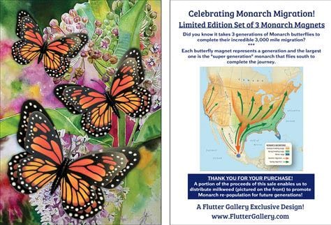 FAIRE: flutter gallery magnet Monarch Butterfly 3D Magnet Set