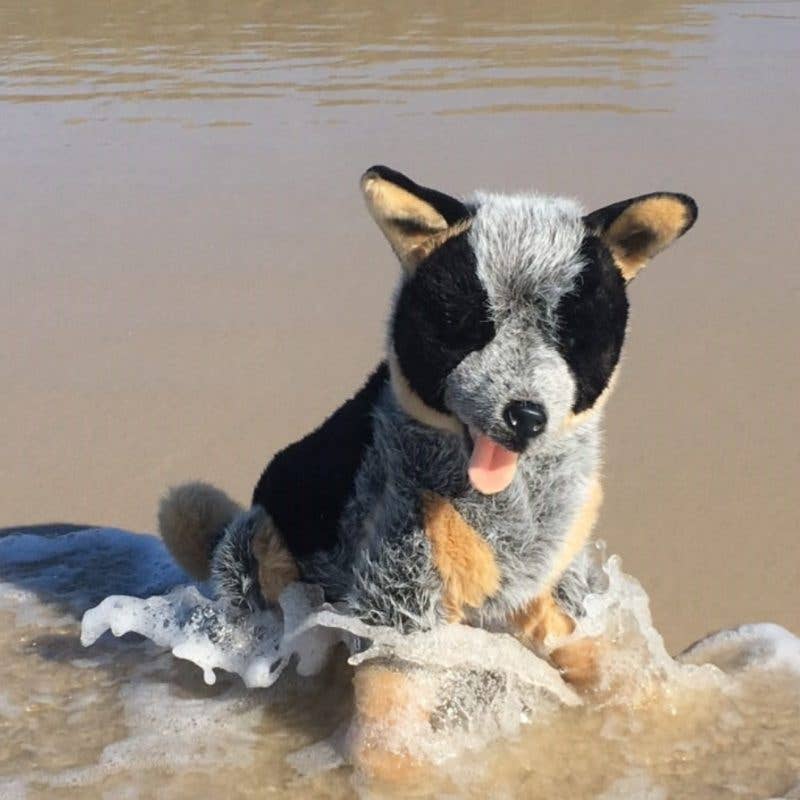 Australian Cattle Dog Lifelike Size 40cm 15.7