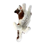 FAIRE: FurTastic Friends by Bocchetta Plush Toys Pouch-Hazel Chocolate Border Collie Realistic Eco Friendly Plush Size - 62cm/24"