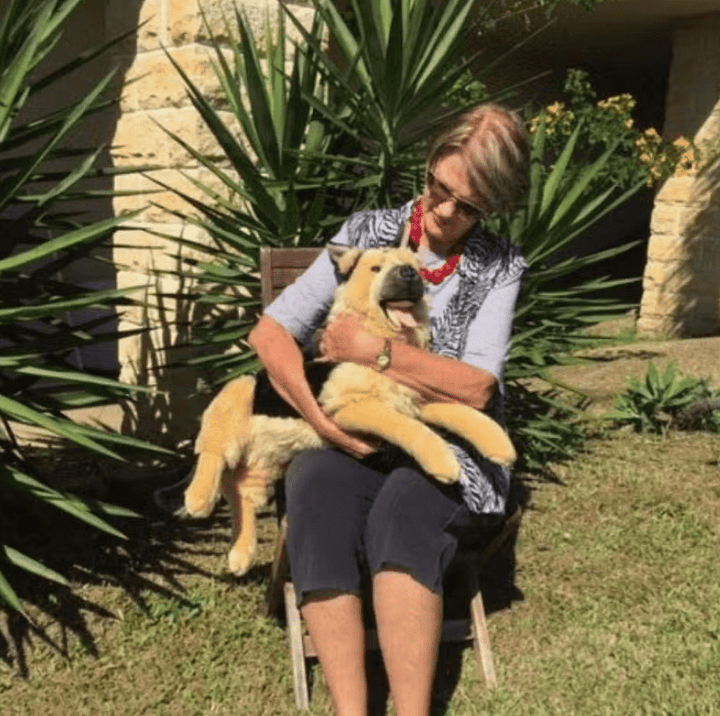 FAIRE: FurTastic Friends by Bocchetta Plush Toys Stuffed Animals Light Face Plush Large Size Light Face German Shepherd Lifelike Eco-friendly Lying Down