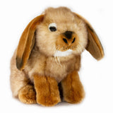 Lop-eared Rabbit Life Size Realistic