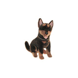 Red and Tan Australian Kelpie Small Sitting Size 21cm/8.25