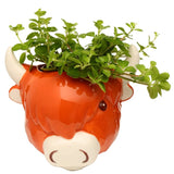 faire-puckator Cow Planter Highland Cow Planter Ceramic Wall Mounted