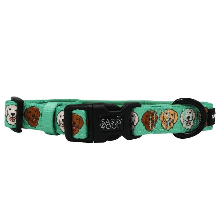 faire-sassy Woof Collar L Glam Goldens Collection-Leash, Harness, Collar, Waste Bag Holder