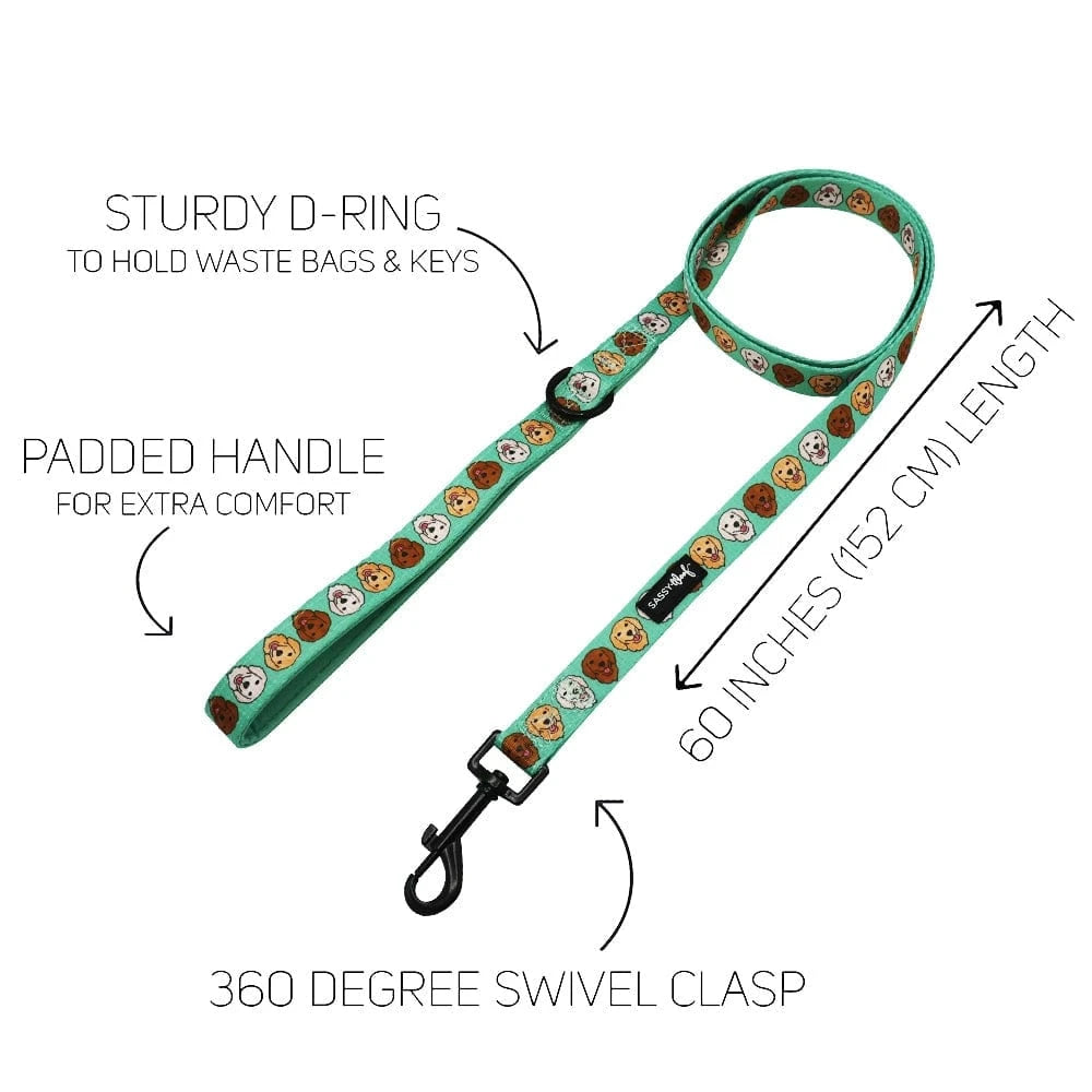 faire-sassy Woof Glam Goldens Collection-Leash, Harness, Collar, Waste Bag Holder