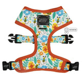 faire-sassy Woof Harness S Honey Bee Dog Gear by Sassy Woof Harness Leash