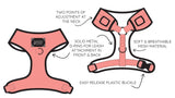 faire-sassy Woof Honey Bee Dog Gear by Sassy Woof Harness Leash