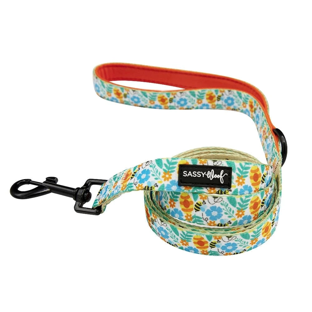 faire-sassy Woof Leash M Honey Bee Dog Gear by Sassy Woof Harness Leash