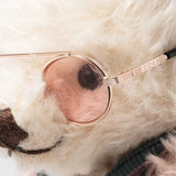 Faire-Steiff Steiff Elton John Collector's Bear