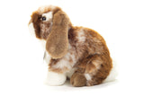 Faire-Teddy Hermann Brown & White Lop Earred Bunny 20 cm - plush toy by Teddy Hermann So Cute!