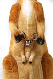 faire-viahart Large Lifelike Red Kangaroo with Joey-38" tall!