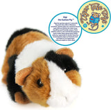 FAIRE: VIAHART Toy Co. Plush Animals Gigi The Guinea Pig - 6 Inch Stuffed Animal Plush - by Tiger Tale Toys