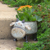 Faire- Zaer Ltd. International Galvanized Animal Planters in 6 Assorted Styles