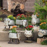 Faire- Zaer Ltd. International Galvanized Animal Planters in 6 Assorted Styles