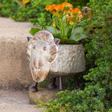 Faire- Zaer Ltd. International Sheep Galvanized Animal Planters in 6 Assorted Styles