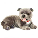 Realistic Lying  Gray Staffordshire Bull Terrier Size 35cm/13.75