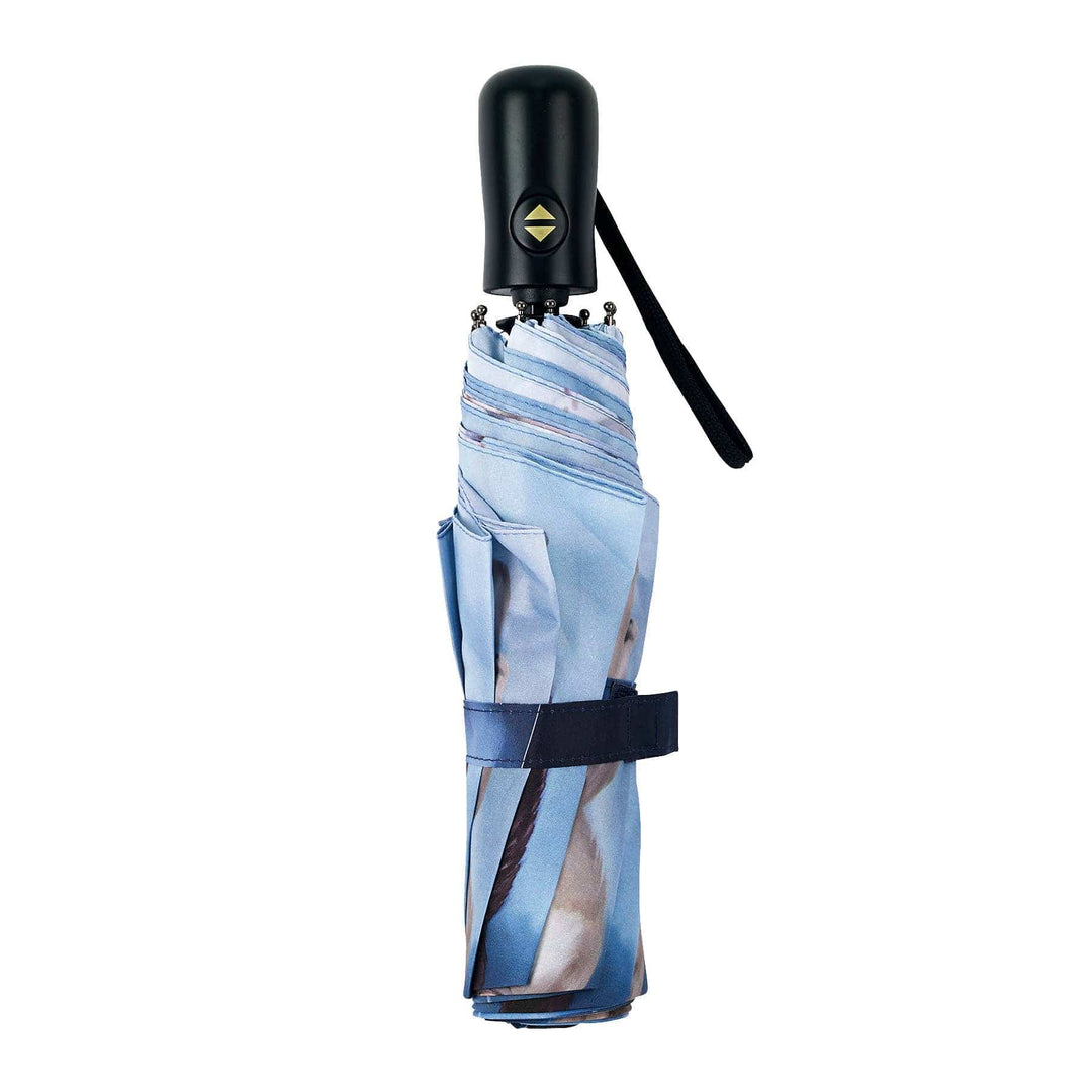 Galleria Enterprises Galleria Enterprises - Cats & Dogs Folding Umbrella