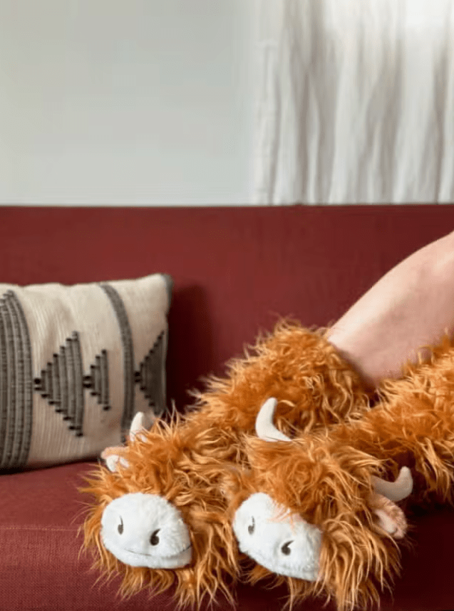 Bag a weekly bargain - Save 30% on these Hamish The Highland Cow Slippers,  was £8 now £5.60 at DUNELM with free C&C available(Ad)👉🏻  https://tidd.ly/3vnPsmK 🙂 | Facebook