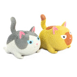 Squidgy Angry Fat Cat Sensory Toy