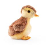 Keycraft Keycraft - Living Nature Mallard Duckling Plush Stuffed Animal Toy