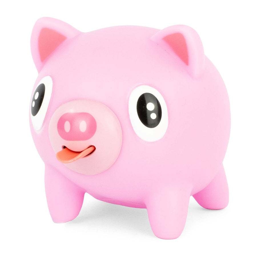 Aloha Oinking Piggy for Kids – The Pink Pigs