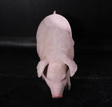 LM Treasures LM Treasures - Pig Bench Life Size Statue